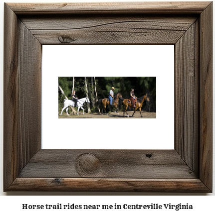 horse trail rides near me in Centreville, Virginia